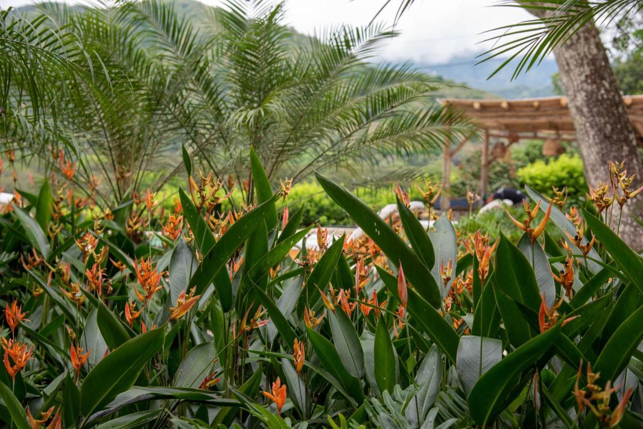 Nativa Refugio Escondido Hotel Santa Fe de Antioquia Exterior photo